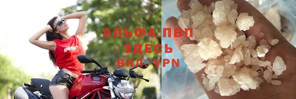 винт Богданович