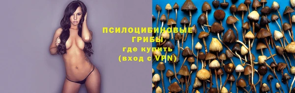 синтетический гашиш Богородицк