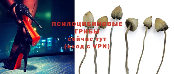 синтетический гашиш Богородицк