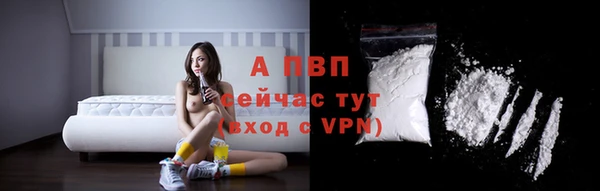 винт Богданович