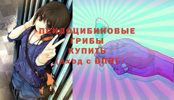 синтетический гашиш Богородицк