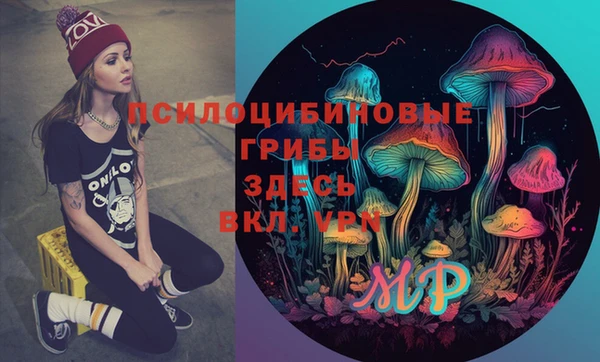 винт Богданович