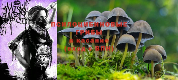 соль курить ск Богородск