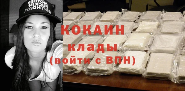 винт Богданович